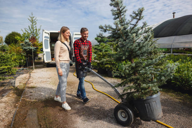 Ardmore, AL Tree Removal Company